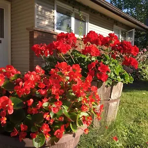  Séjour chez l'habitant Graham Homestay